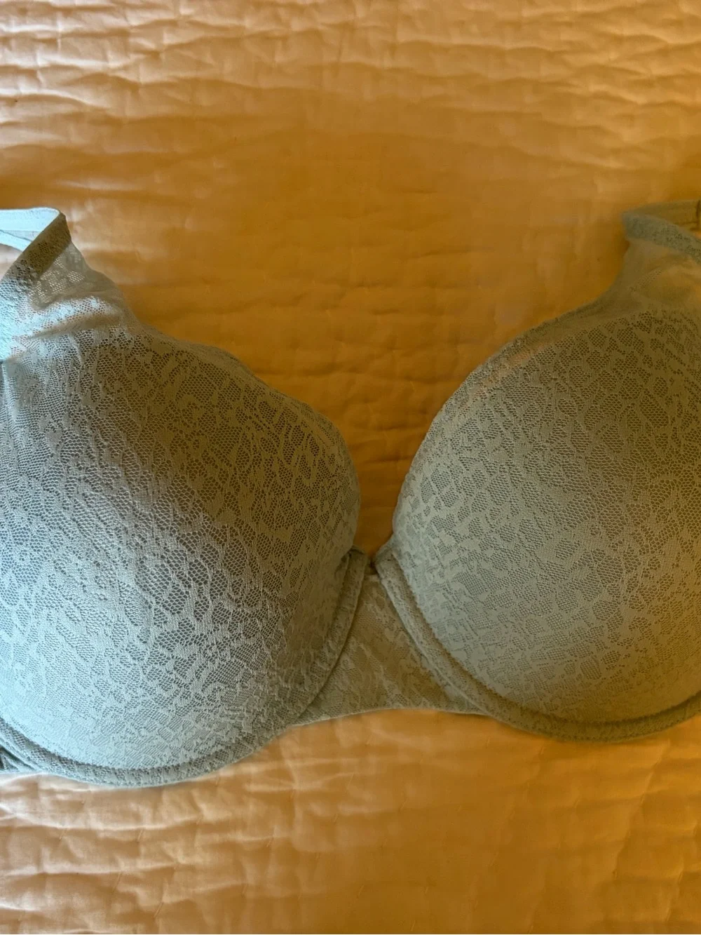 Natori Lace T-Shirt Bra Pair in Light Blue and Nude - Picture 8 of 12